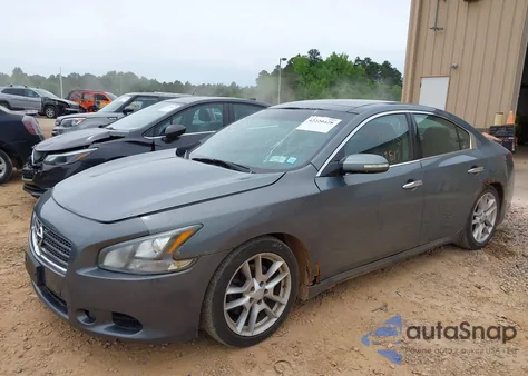 2010 Nissan Maxima 3.5 Sv from USA, damaged, VIN 1N4AA5AP0AC806842